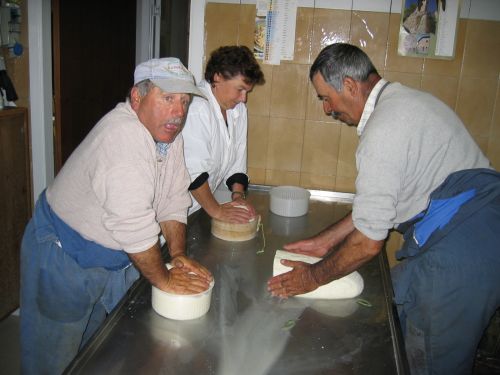 scuola di formaggio-37.JPG